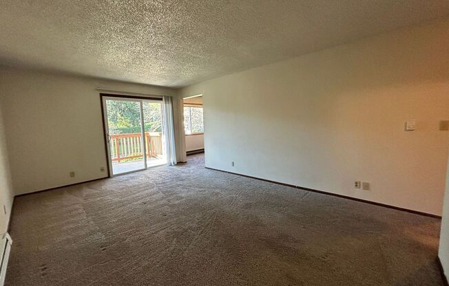 1 bed, 1 bath, $1,225, Unit 219