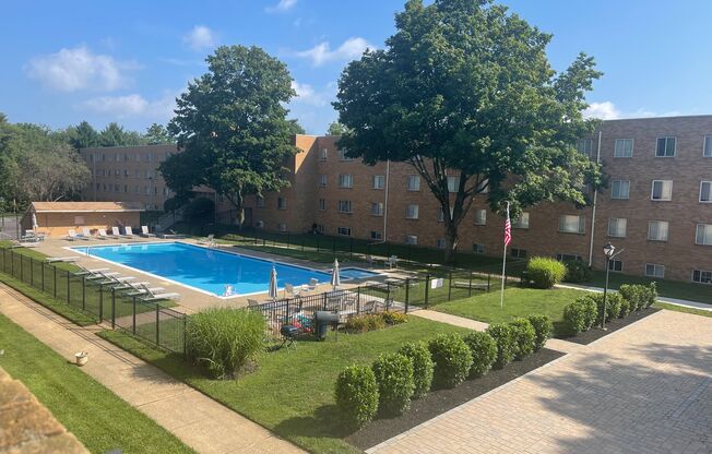 Pool-Aerial Pic