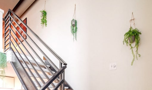 three hanging plants on a wall next to a staircase