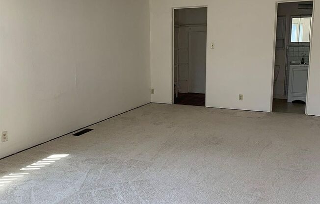 Studio, 1 bath, 300 sqft, $1,100, Unit 8