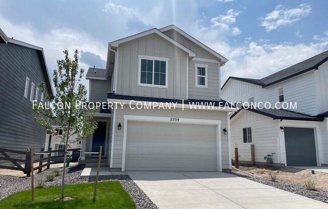2339 INDIAN BALSAM DR