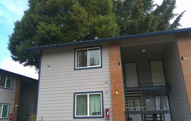 1 bed, 1 bath, 650 sqft, $1,050, Unit 65