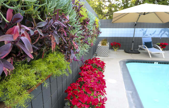 Pool side at Westwood Riviera Apartments, Los Angeles, CA