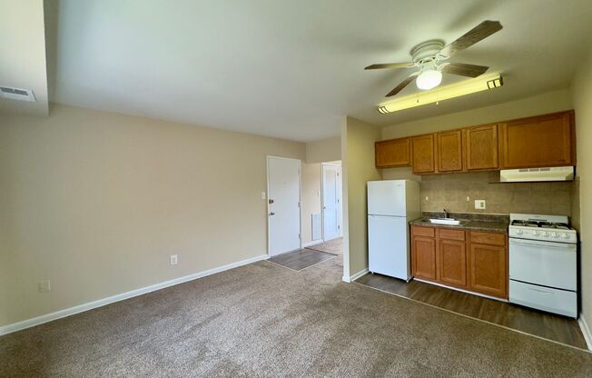 Studio, 1 bath, 377 sqft, $899, Unit 3506-E