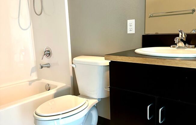 Studio, 1 bath, 238 sqft, $1,095, Unit 307