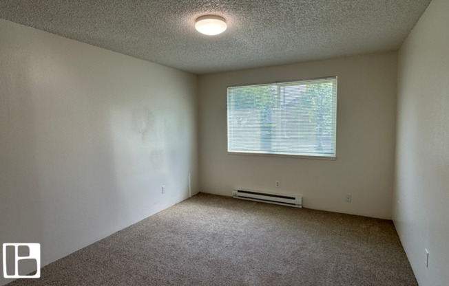 2 beds, 1 bath, 1,000 sqft, $1,295, Unit 11