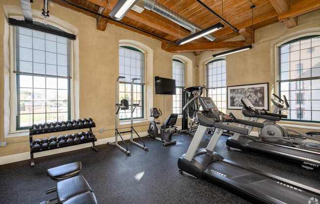 A gym with a row of dumbbells on the left and a treadmill on the right.