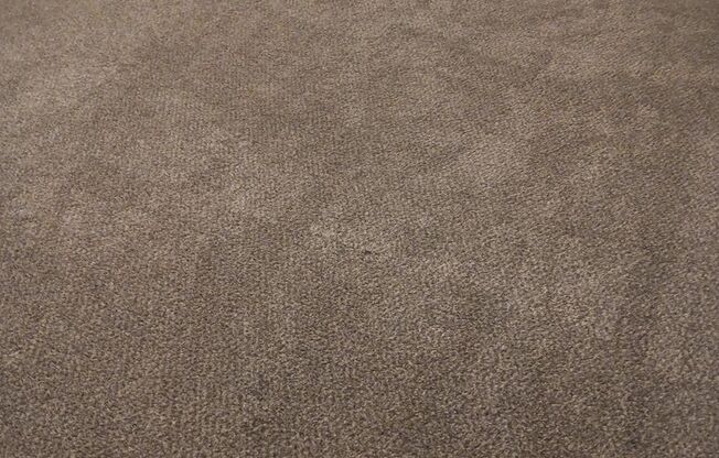 1 bed, 1 bath, 555 sqft, $615, Unit 7814-110