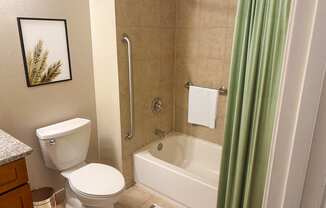 A bathroom with a toilet, a bathtub, and a picture on the wall.