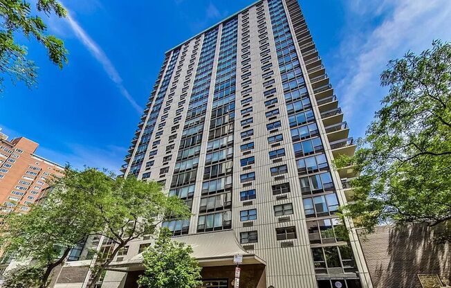 GOLD COAST - FANTASTIC 1BD/1BTH APARTMENT FOR RENT!
