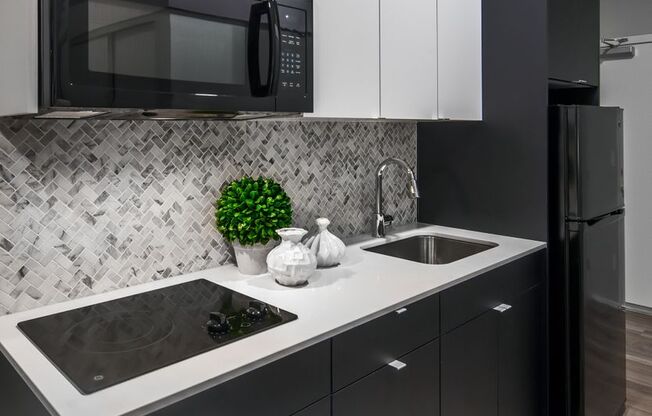 Studio, 1 bath, 316 sqft, $1,450, Unit 308