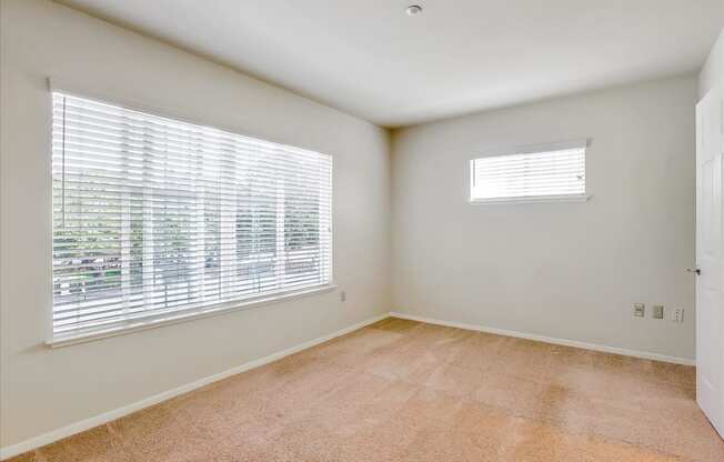 A room with a window and a carpeted floor.