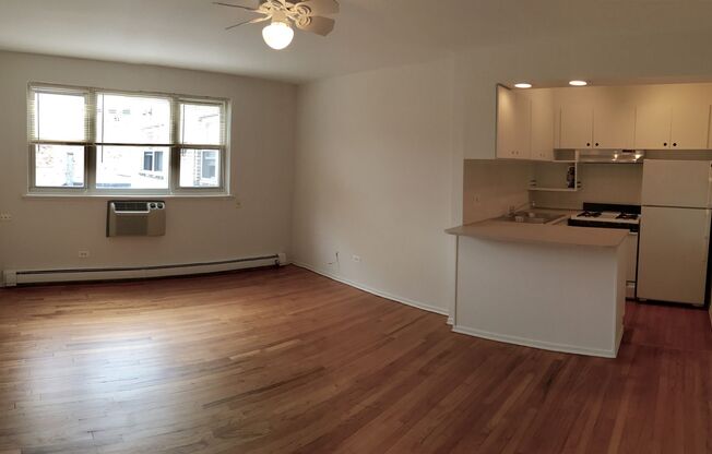 Studio, 1 bath, 332 sqft, $1,350, Unit 515