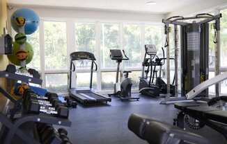 Greentree Apartments in Savannah, GA photo of a gym with cardio equipment and large windows