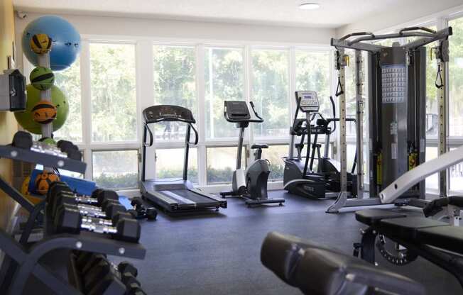 Greentree Apartments in Savannah, GA photo of a gym with cardio equipment and large windows