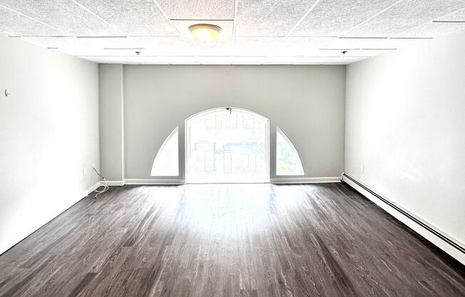 Studio, 1 bath, 215 sqft, $1,495, Unit 206