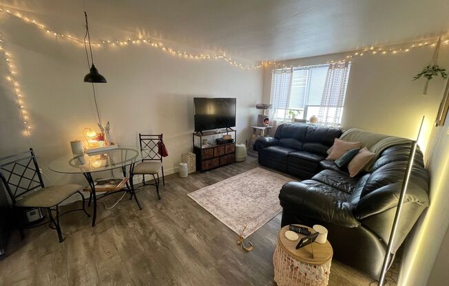 1 bed, 1 bath, $1,095, Unit 201