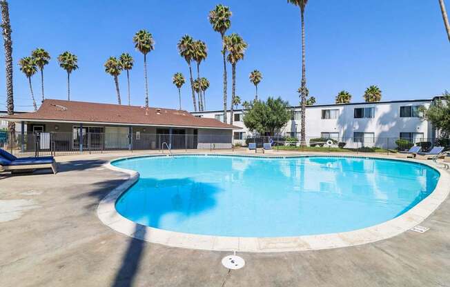 A round swimming pool surrounded by palm trees and a building in the background.