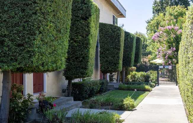 a sidewalk in front of a house surrounded by hedges