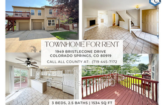 1949 BRISTLECONE DR