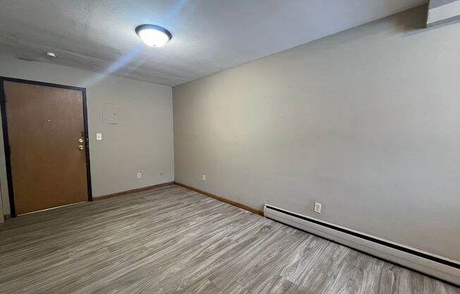 Studio, 1 bath, 254 sqft, $860, Unit 9