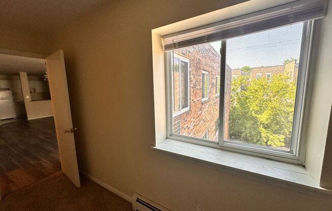 1 bed, 1 bath, $1,225, Unit 309