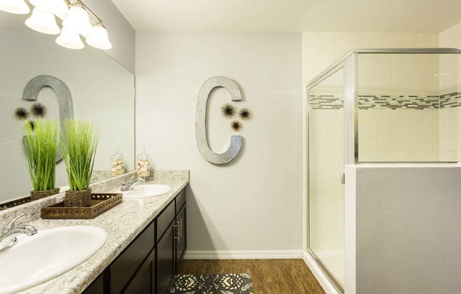 Channelside apartments in Fort Myers, Fl photo of spacious bathroom
