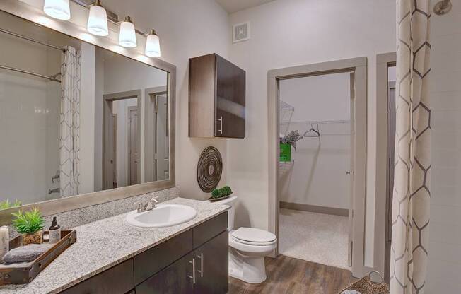 a bathroom with a sink and a toilet and a mirror