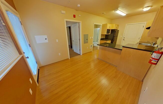 1 bed, 1 bath, 391 sqft, $1,250, Unit 207