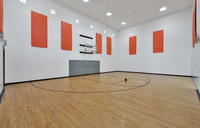 a basketball court with a black and orange circle on the floor