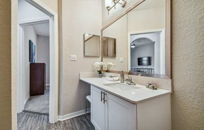 Guest bathroom at 2211 Grand Isle, Brandon, Florida