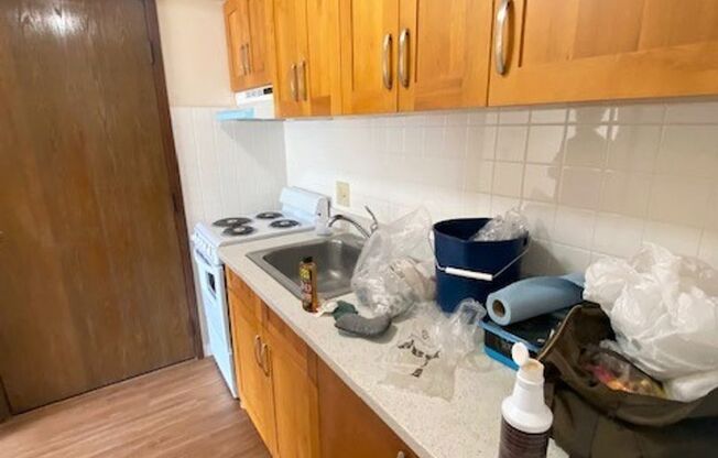 Studio, 1 bath, $1,900