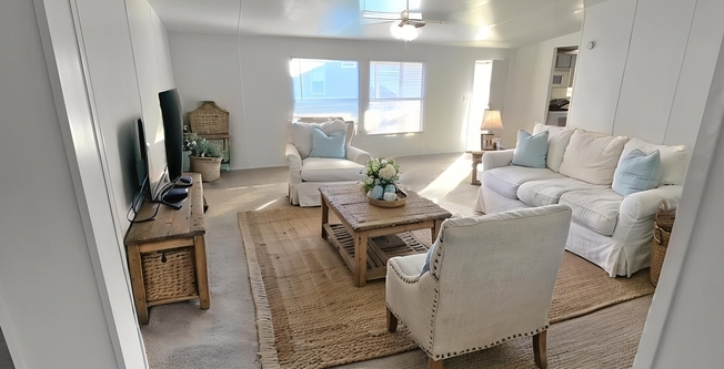 50 ALT COTTON BYU CIR