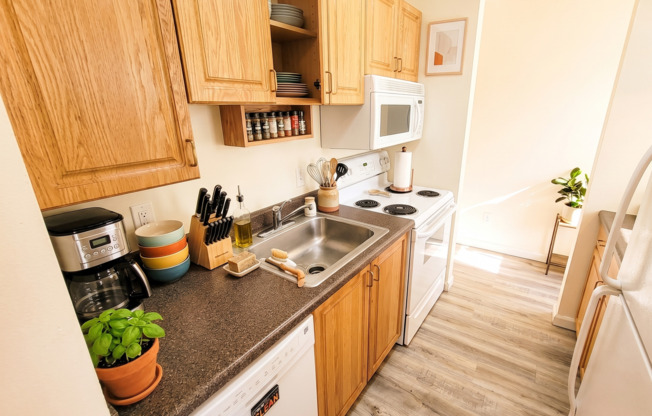 1 bed, 1 bath, $1,845, Unit C-401