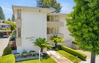 Panos - Chambliss - 1439 Floribunda