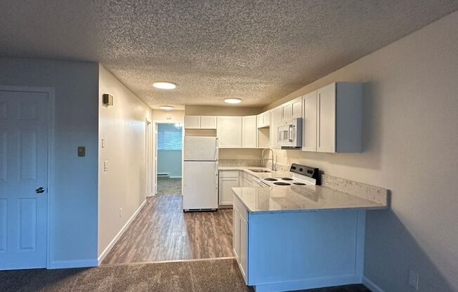 1 bed, 1 bath, 650 sqft, $1,195, Unit 3