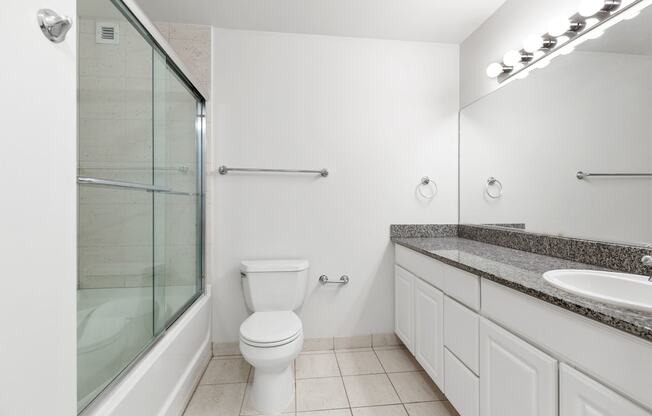 a bathroom with a shower toilet and a sink