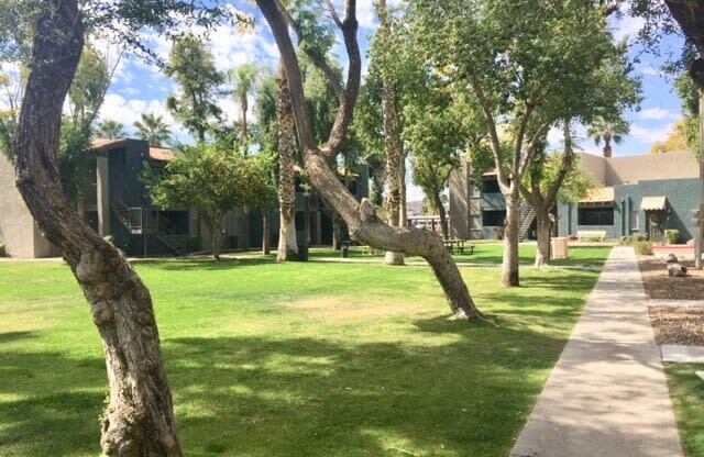 a sidewalk and trees in front of a building