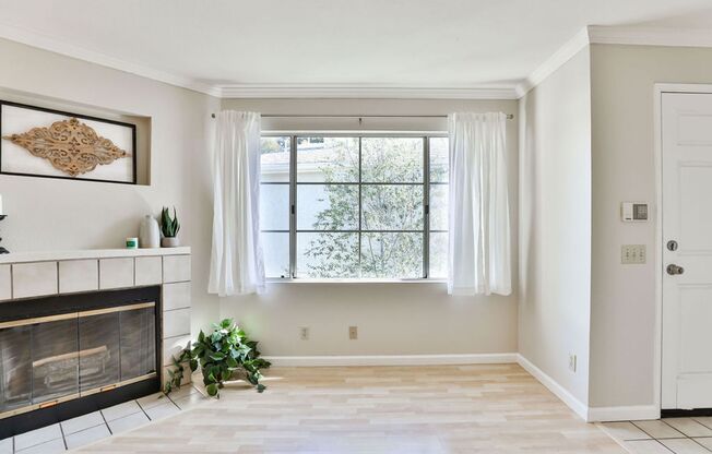 2 beds, 2 baths, $2,900, Unit Apt 104