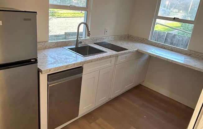1 bed, 1 bath, 430 sqft, $1,895