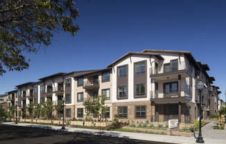 Anton 1101 Apartments
