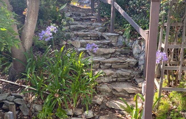 Mt Helix Custom Home with Panoramic Views for Lease