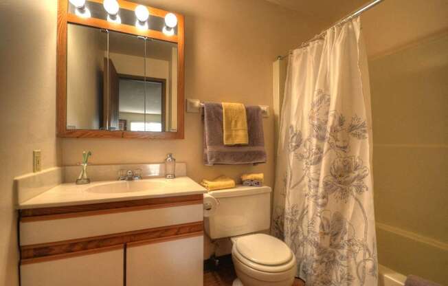 a bathroom with a shower curtain and a sink and a toilet