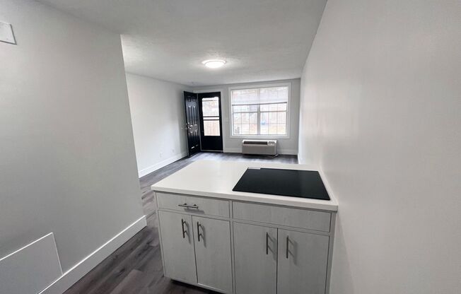 Studio, 1 bath, 288 sqft, $750, Unit 2035 Pine Needle Ct-R+