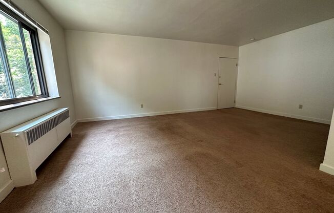 1 bed, 1 bath, , $1,375