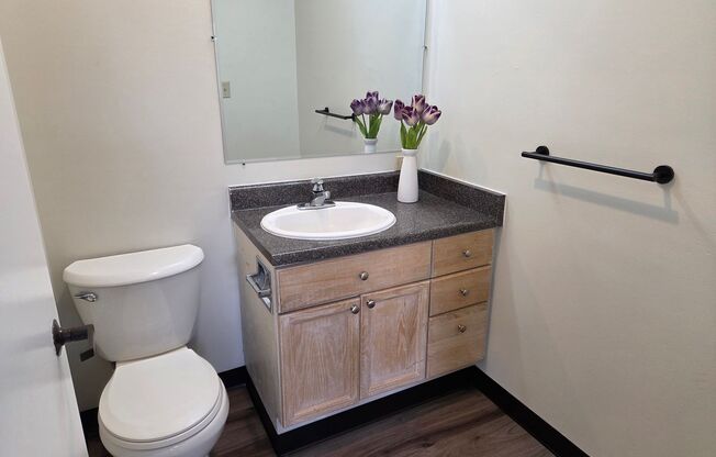 1 bed, 1 bath, 433 sqft, $1,600, Unit 603