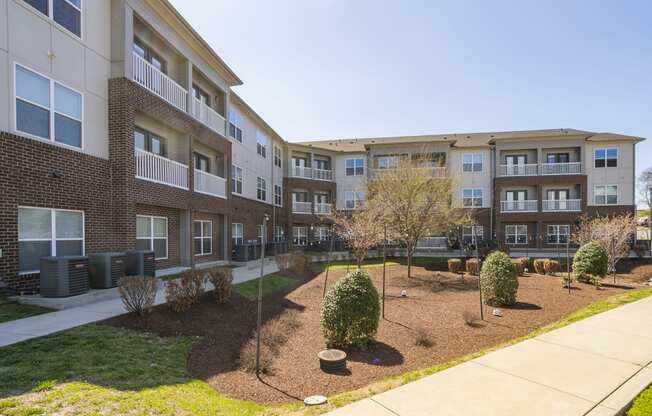 a courtyard with trees and shrubs