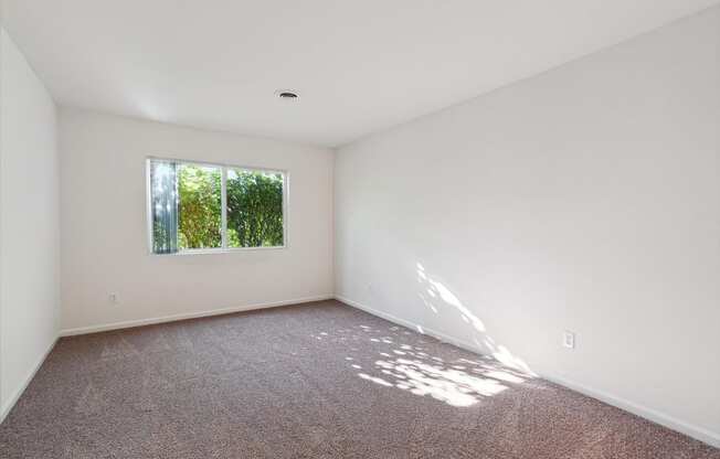 Bedroom with Large Window