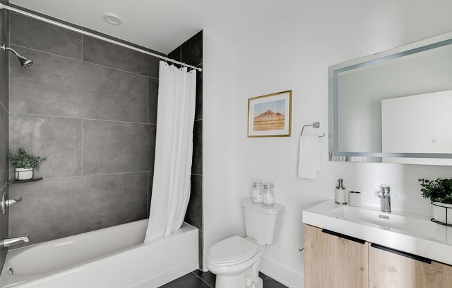 Studio, 1 bath, 357 sqft, $1,215, Unit 207