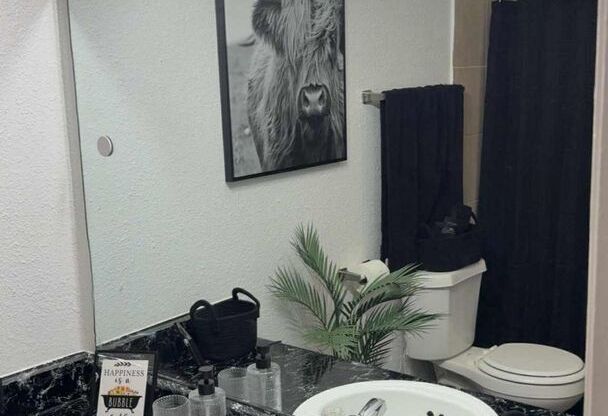 1 bed, 1 bath, 785 sqft, $1,120, Unit 1616